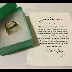 Jewelmint Fashion Jewelry - Ever Frost Ring